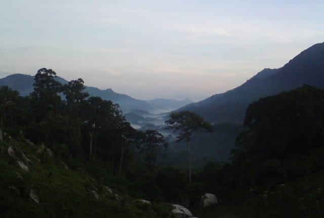 Nature